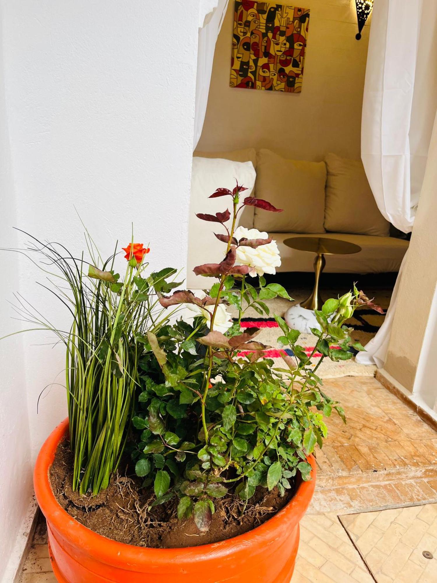 Riad Darna 4 Chambres Avec Piscine Et Petit Dejeuner Marrakesh Eksteriør bilde